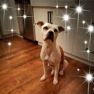 Meet your Posher, Fiona